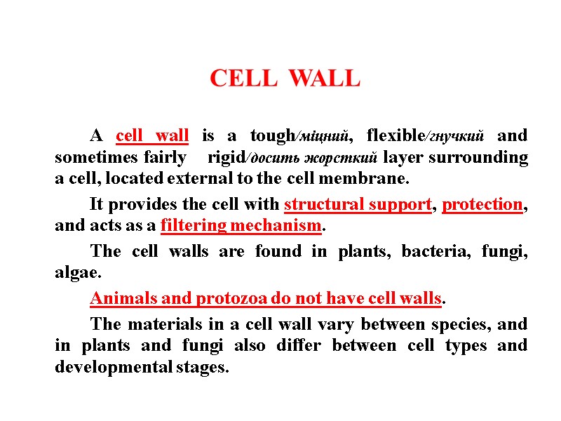 CELL  WALL   A cell wall is a tough/міцний, flexible/гнучкий and sometimes